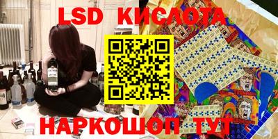 индика Рузаевка