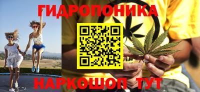 индика Рузаевка