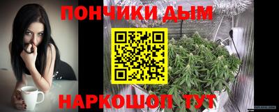 индика Рузаевка