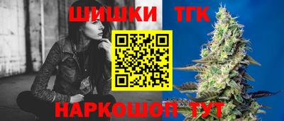 индика Рузаевка
