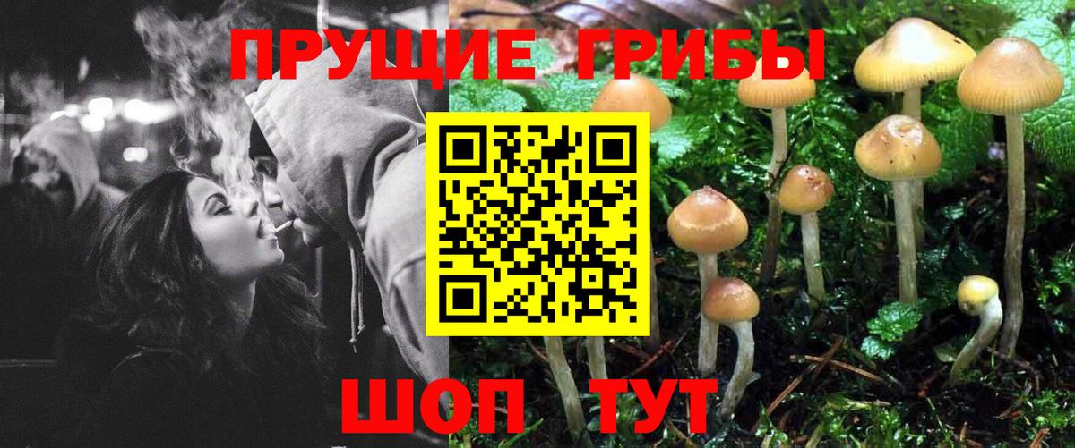 Псилоцибиновые грибы мухоморы Реж